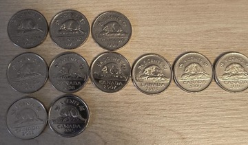 Kanada zestaw 5 centów bóbr