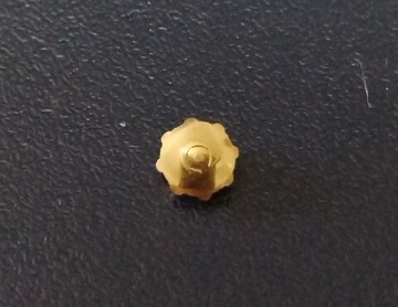 Koronka Cyma 4,9 x 2,7 mm zlota