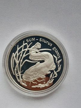 Moneta  20 zł  SUM  z 1995r.