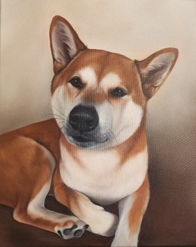 Portret psa ze zdjęcia na zamówienie Shiba Inu 