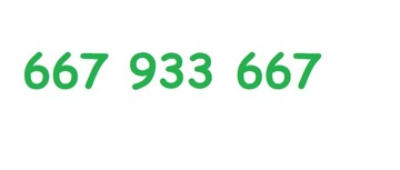 667 933 667 ZŁOTY NUMER PLUS GSM