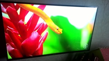 Panasonic TX-43CX750E 4K  MATRYCA IPS 100HZ