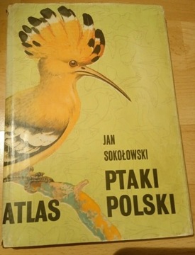 Ptaki Polski - Jan Sokołowski