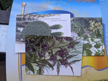  komplet 3 pocztowek  Rośliny lecznicze Ukrainy