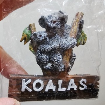 Zagraniczny magnes na lodówkę 3D Australia koala