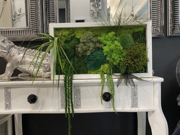 Obraz 3D z mchu i roślin stabilizowanych
