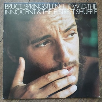 Bruce Springsteen winyl 
