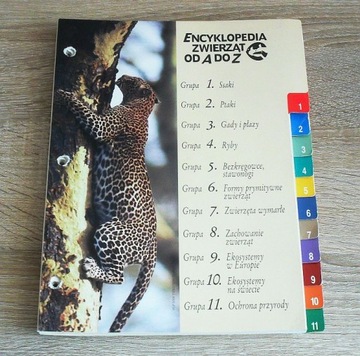 Karty do Encyklopedii Zwierząt od A do Z do teczki