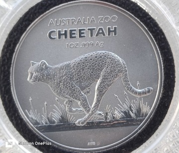 Srebrna moneta Cheetah ZOO Gepard Australia 2021 q uncja Ag.999