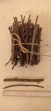 Gałązki brzozy tegoroczne 250g 15cm