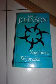 zagubione wybrzeże Johnson