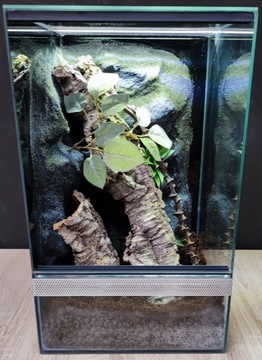 Terrarium dla gekona żaby 30x30x50 