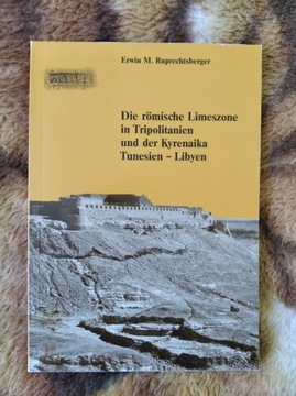 Die römische Limeszone