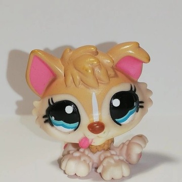 LITTLEST PET SHOP LPS FIGURKI PIES KOT