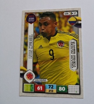 Road to Russia 2018. Luis Muriel team mate 