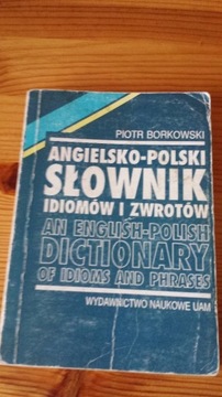 Rozmównik polsko angielski + słownik idiomów