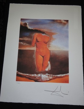 Salvador Dali  Litografia 65x50 sygn + cert.