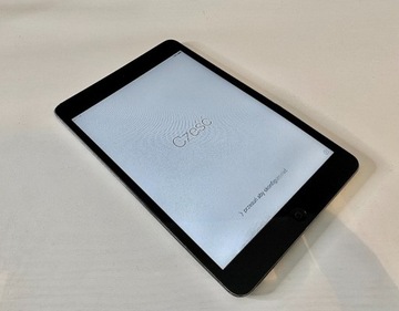 iPad Mini (1st Gen, Black, 16GB, Cellular)