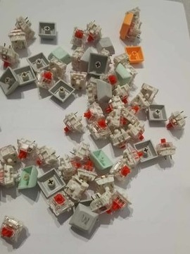 Gateron red 40 switche mechaniczne