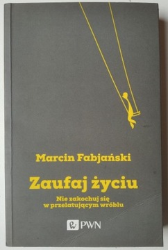 Zaufaj życiu - Marcin Fabjański