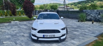 Ford mustang 5.0 performance package 2