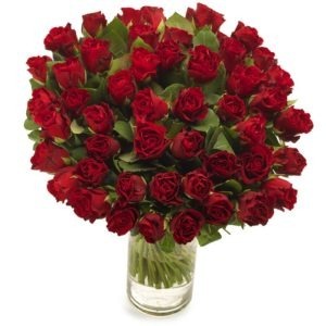 Róża czerwona 60 cm