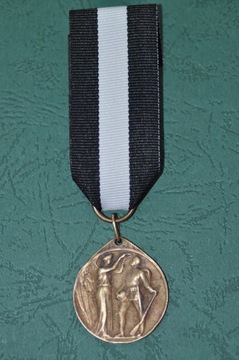 medal honorowy FURG DAGERLAND 1914