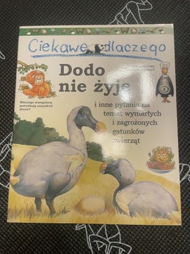 Ciekawe dlaczego Dodo nie żyje