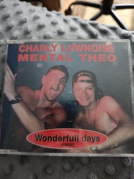 Charly Lownoise Mental Theo  Wonderfull Days Remix