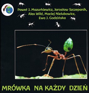 Mrówka na każdy dzień Mazurkiewicz