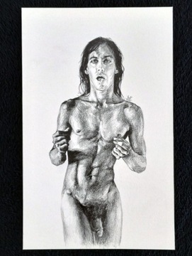 Rysunek naked Iggy Pop ołówek akt 