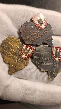 Zestaw odznak PTTK Przyjaciel Wielkopolski 