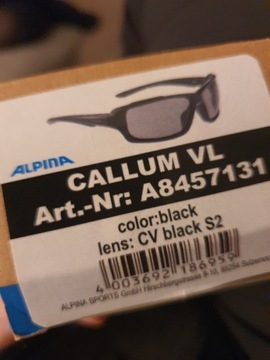 Okulary fotochrom Alpina Callum VL CV S2 - czarne