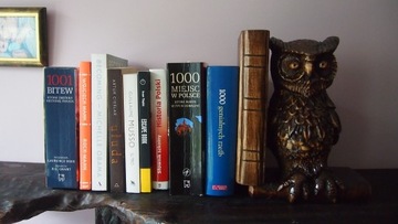Podpórka do książek w kształcie sowy