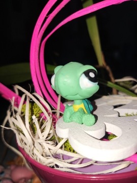 LPS littlest żółw shop figurka Hasbro 