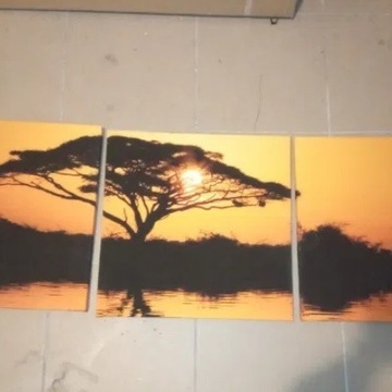 Obraz Afryka Safari na płótnie 3 ramki