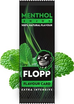 20 x karta aromatyzująca Flopp Menthol 