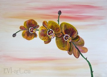 Obraz "Orchidea III", akryl płótno 70x50