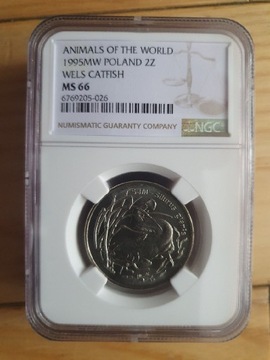 1995r 2zł SUM - Mennicza Grading NGC MS66