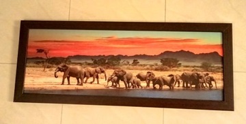 Obraz słonie o zachodzie.