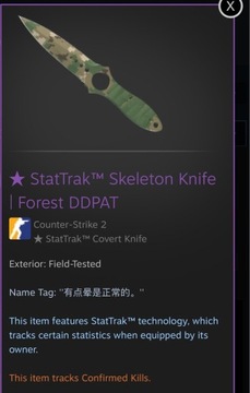 Skeleton Knife | Forest DDPAT (field-tested)(zdjecie)