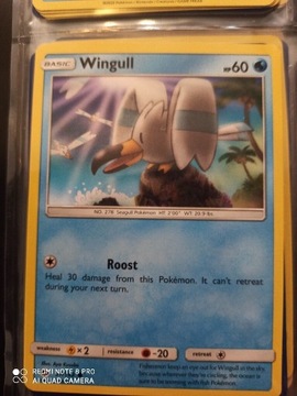 Wingull 37/149