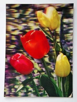 Widokówka 3D stara - kwiaty tulipany 