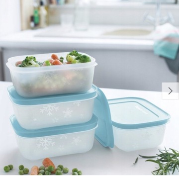 Zestaw pojemników do mrożenia Tupperware