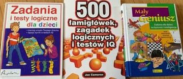 Książki - łamigłówki dla dzieci 