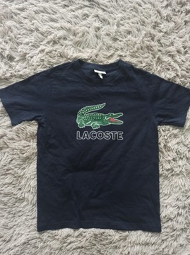 Lacoste granatowy t-shirt 12 lat 152cm