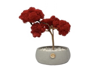 Drzewko z chrobotka Moss Tree czerwony premium 