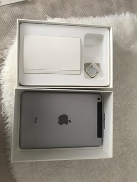 iPad Mini 