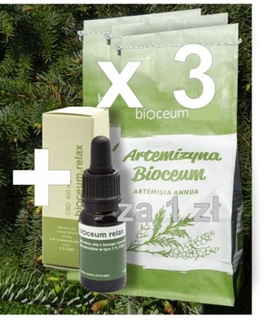 Zestaw 3x EKO susz Bylica Roczna + CBD 3%