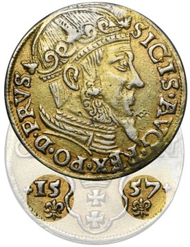 Zygmunt II August, Trojak Gdańsk 1557 - bez obwódk